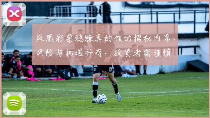凤凰彩票稳赚真的假的揭秘内幕，风险与机遇并存，投资者需谨慎