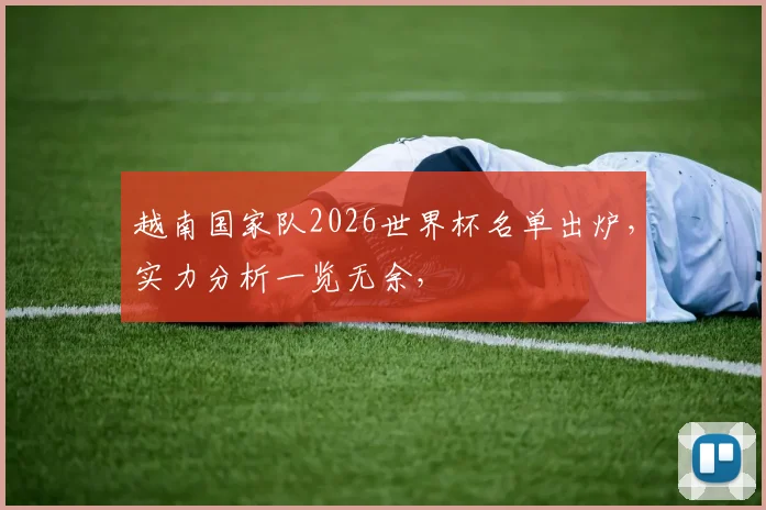 越南国家队2026世界杯名单出炉，实力分析一览无余，