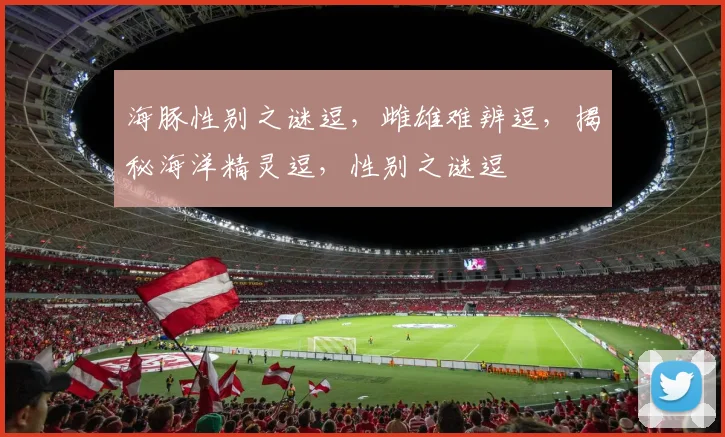 海豚性别之谜逗，雌雄难辨逗，揭秘海洋精灵逗，性别之谜逗