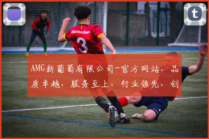 AMG新葡萄有限公司-官方网站，品质卓越，服务至上，行业领先，创新驱动，一站式体验，值得信赖